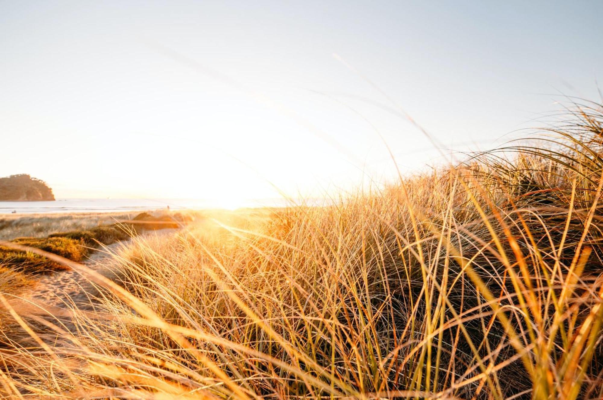 Seaside Escape Villa Mount Maunganui Eksteriør bilde